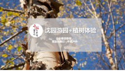 春季團(tuán)建—沈園游園+植樹體驗(yàn)